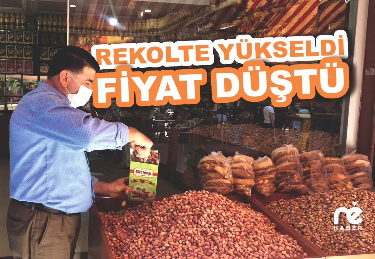 Siirt’te Fıstık Fiyatları Yılbaşından Sonra Yükselebilir