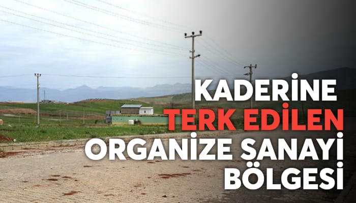 SON DURAK SİİRT’İN KADERİNE TERKEDİLEN ORGANİZE SANAYİ BÖLGESİ