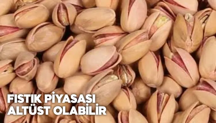 FISTIK PİYASASI ALTÜST OLABİLİR