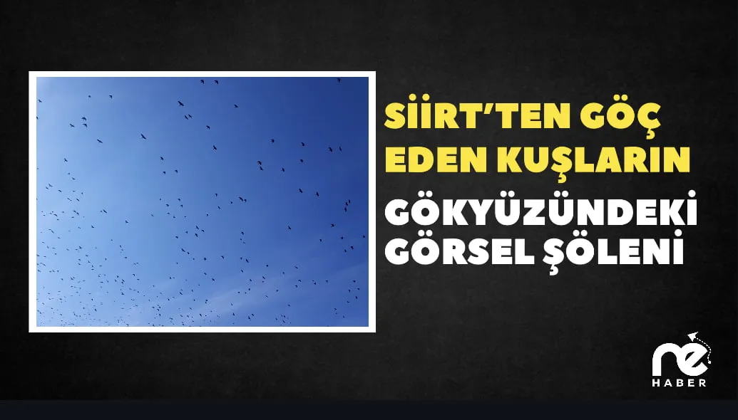 SİİRT SEMALARINDA KUŞLARIN DANSI