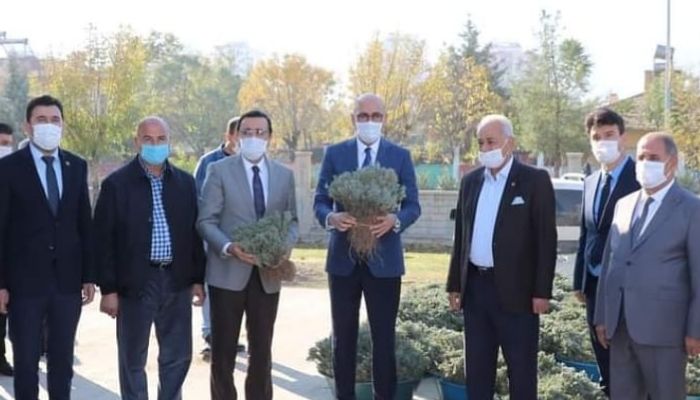 KURTALAN'DA 128 BİN LAVANTA FİDESİ DAĞITILDI