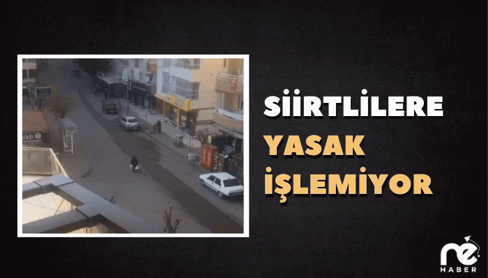 SİİRTLİLERE YASAK İŞLEMİYOR
