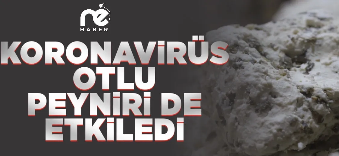 KORONAVİRÜS OTLU PEYNİRİ DE ETKİLEDİ