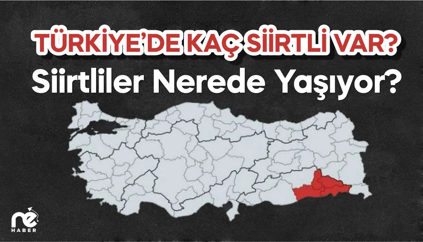 SİİRTLİLER NEREDE YAŞIYOR? TÜRKİYE’DE KAÇ SİİRTLİ VAR?