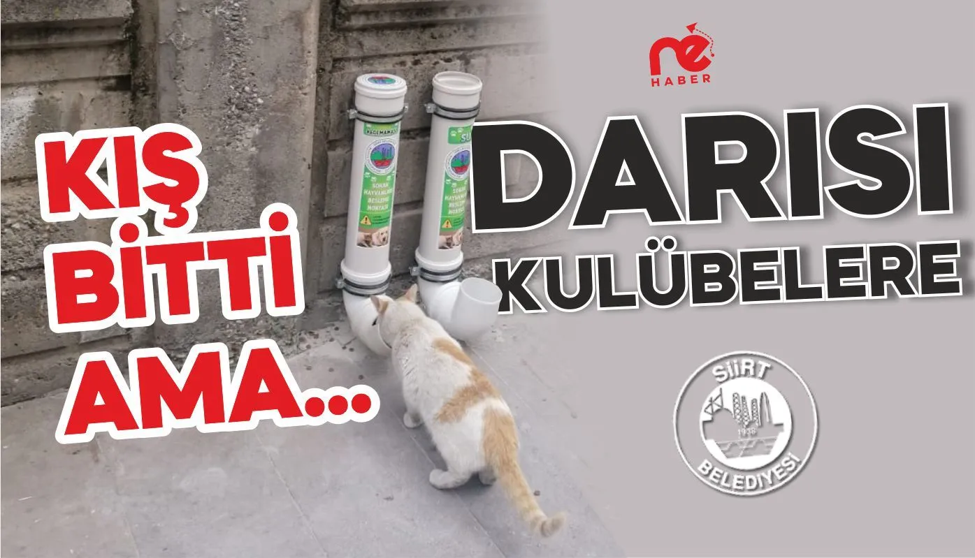 KIŞ BİTTİ AMA…  DARISI KULÜBELERİN BAŞINA