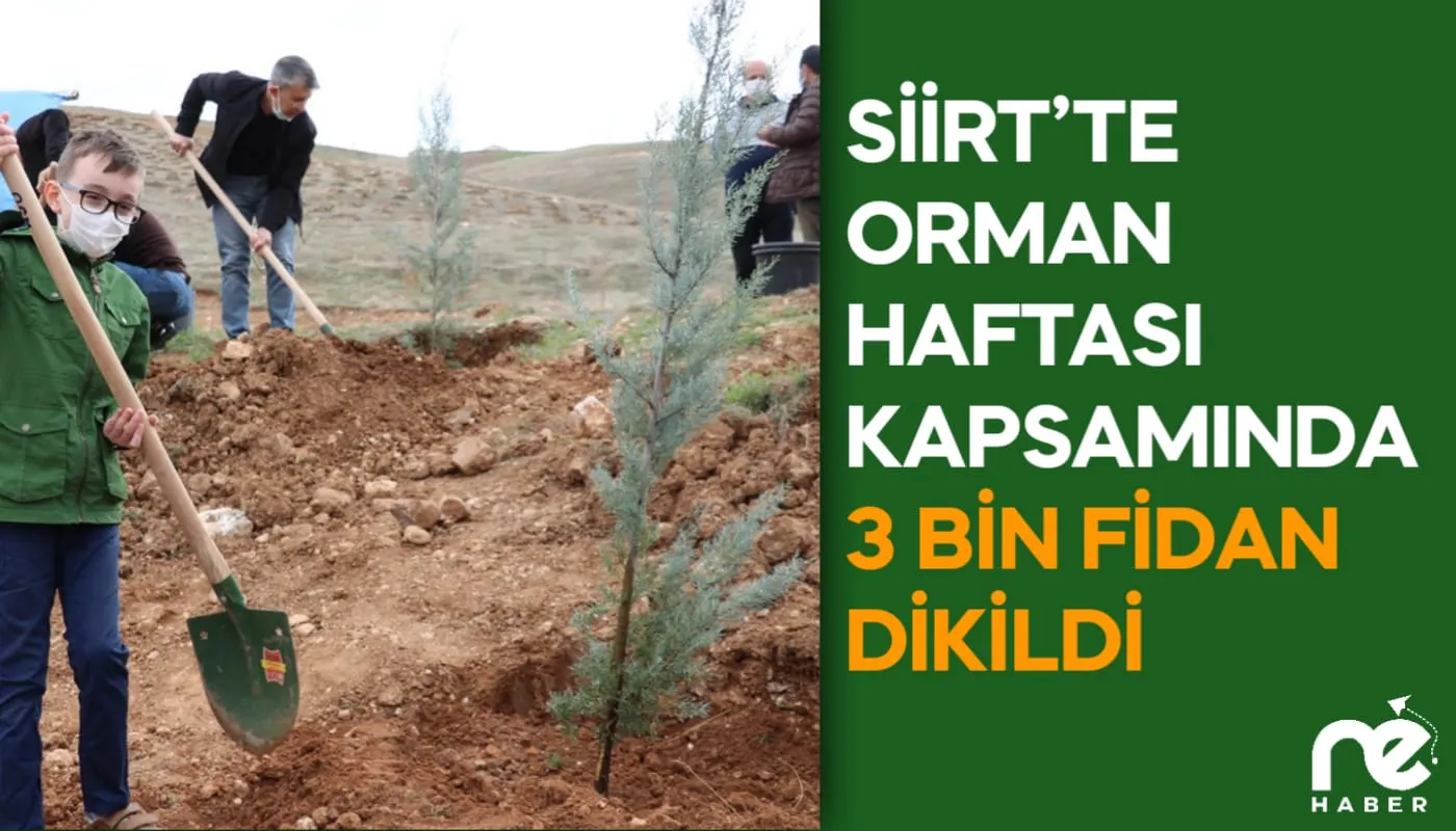 SİİRT’TE ORMAN HAFTASI KAPSAMINDA 3 BİN FİDAN DİKİLDİ