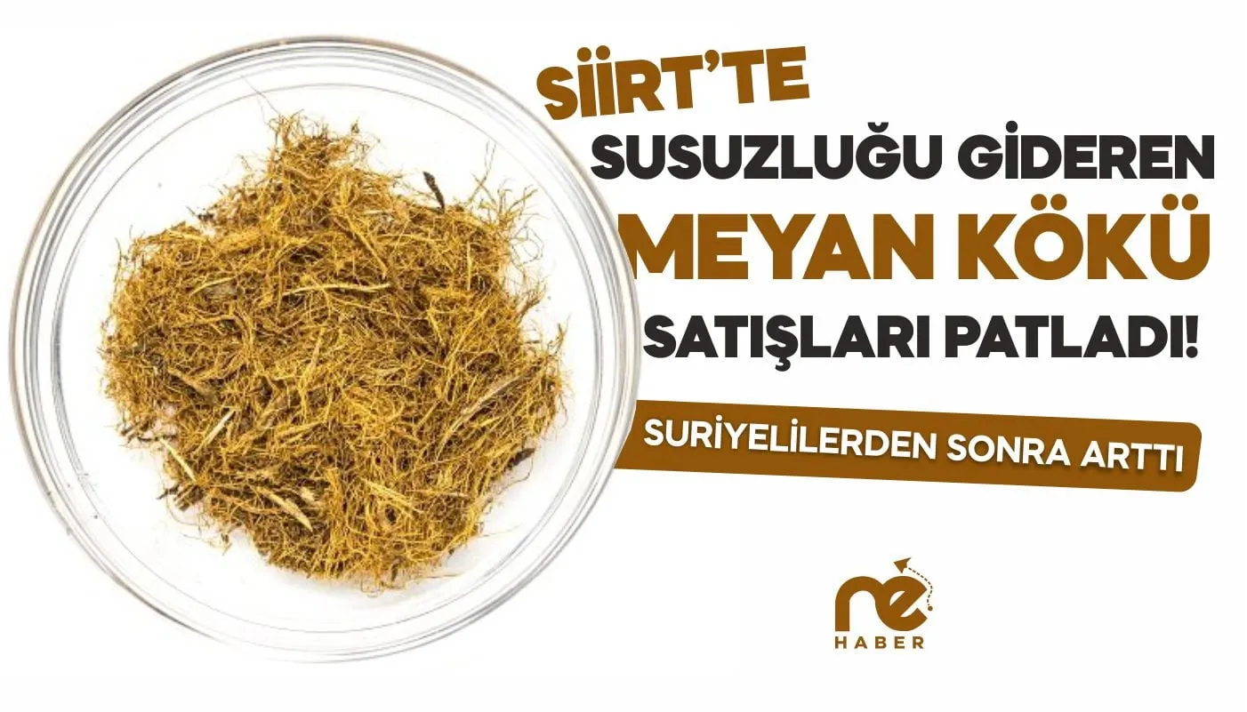 SİİRT’TE SUSUZLUĞU GİDEREN MEYAN KÖKÜNÜN SATIŞLARI ARTTI