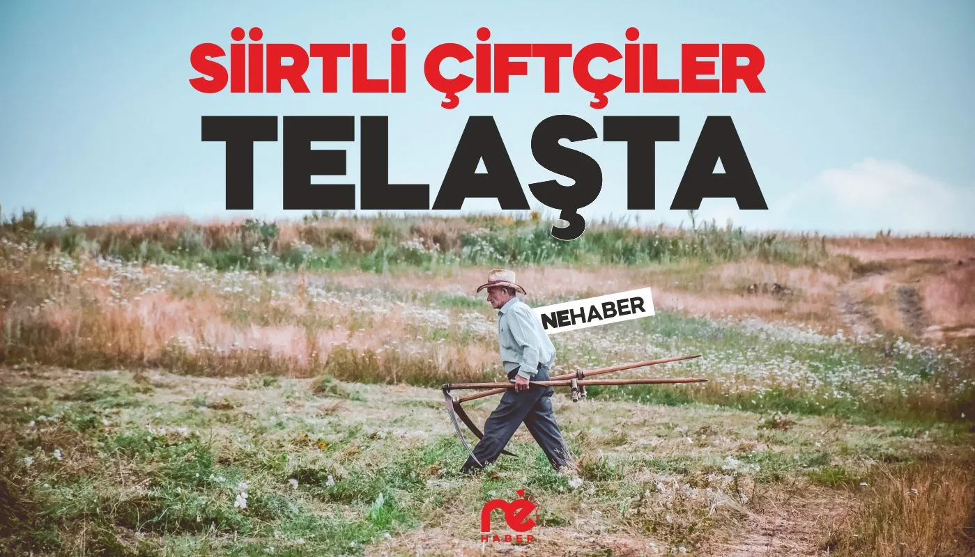 SİİRTLİ ÇİFTÇİLER TELAŞTA