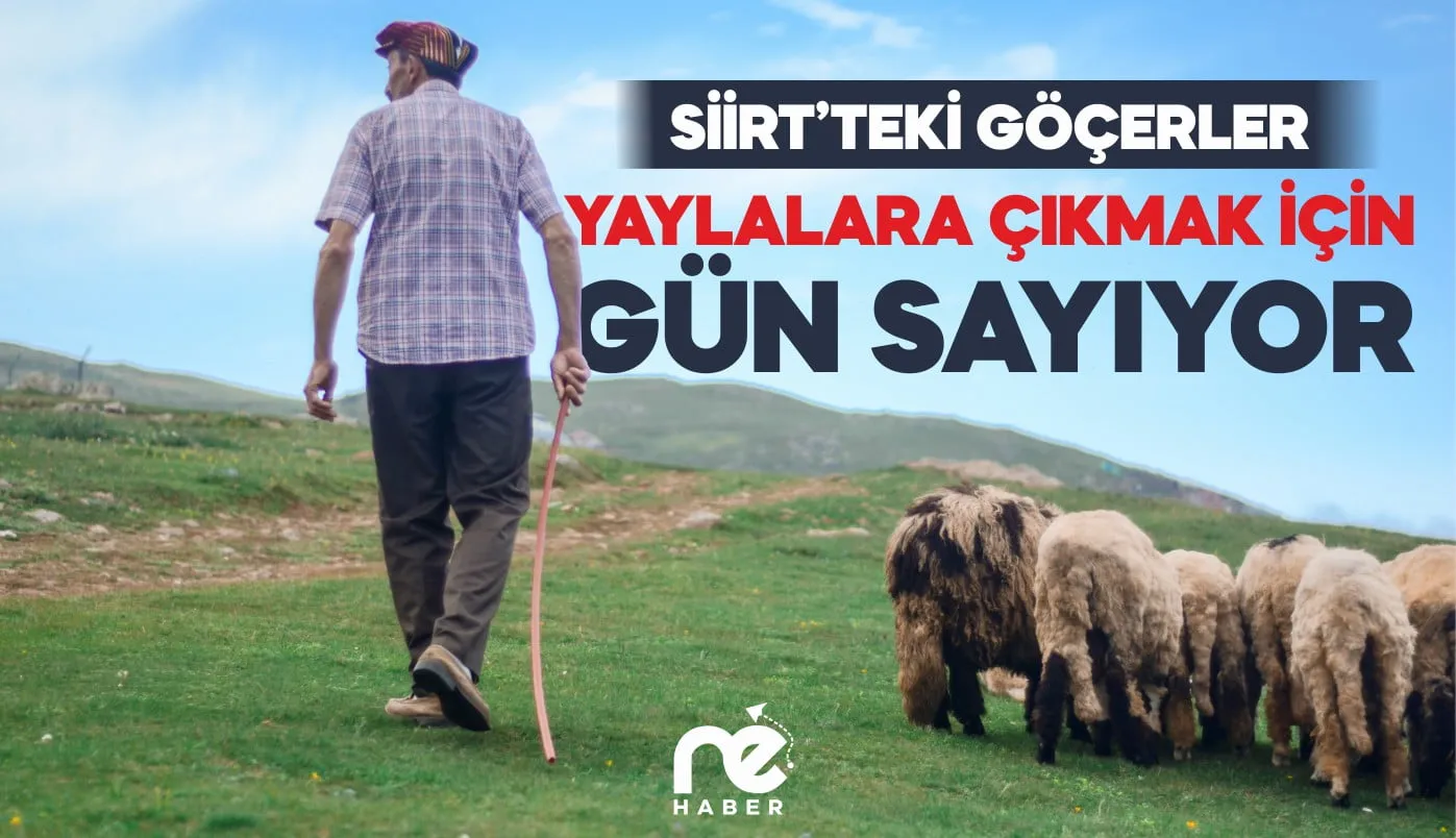 SİİRT’TEKİ GÖÇERLER YAYLALARA ÇIKMAK İÇİN GÜN SAYIYOR