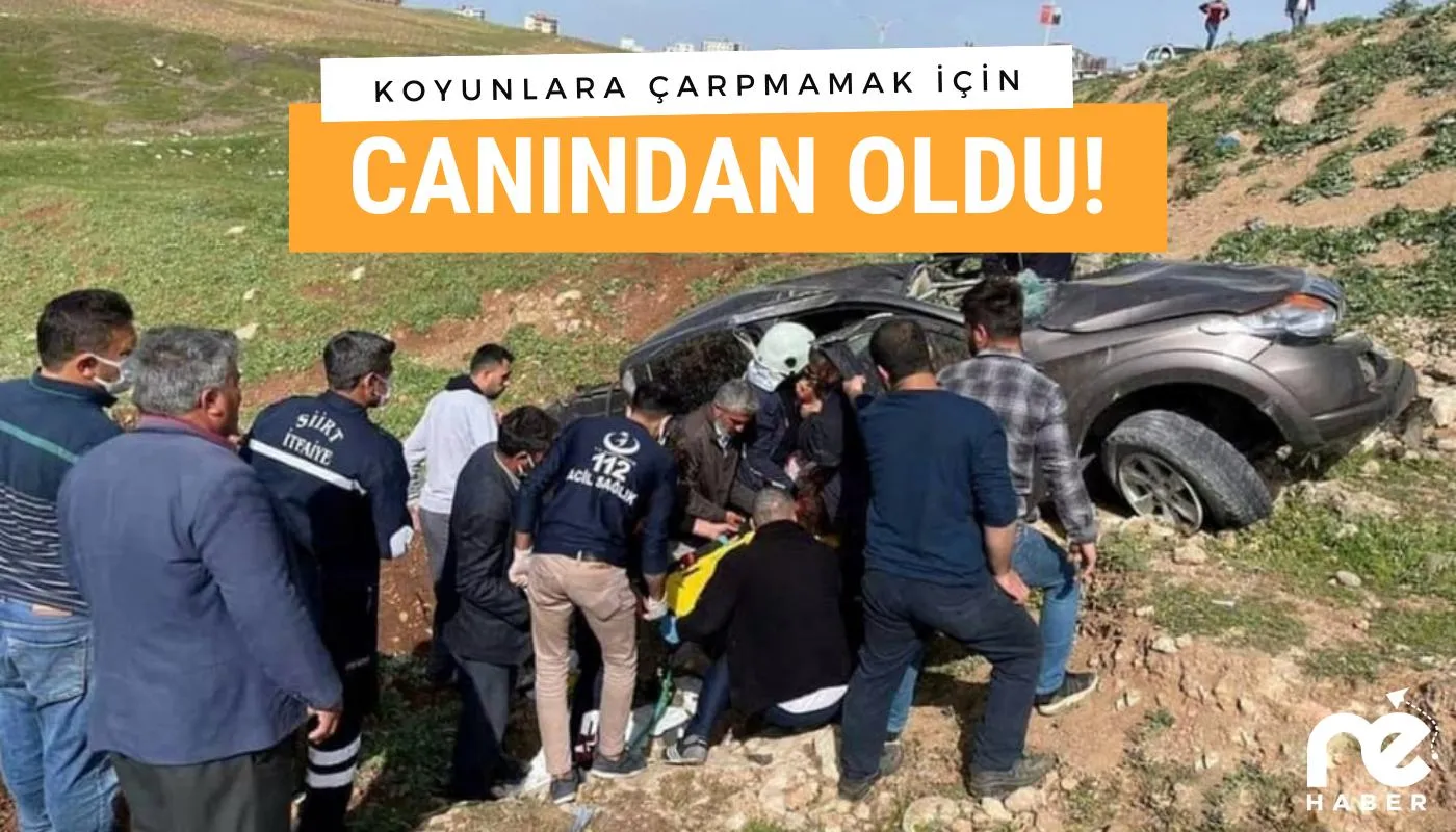 KOYUNLARA ÇARPMAK İSTEMEDİ CANINDAN OLDU