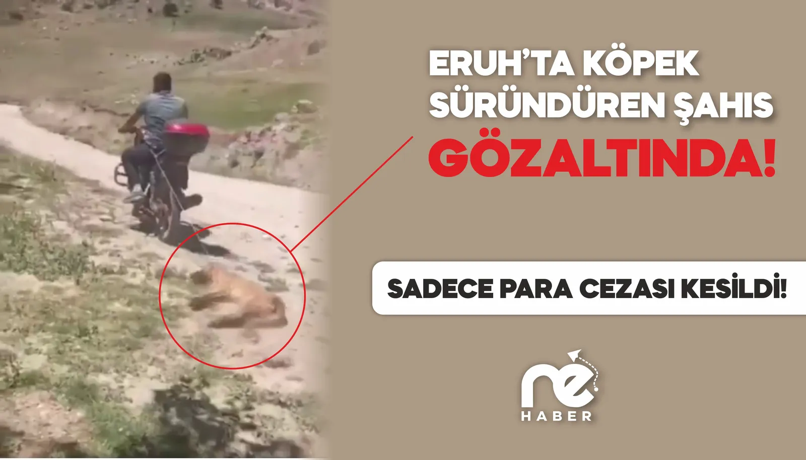 O CANİ GÖZALTINA ALINDI