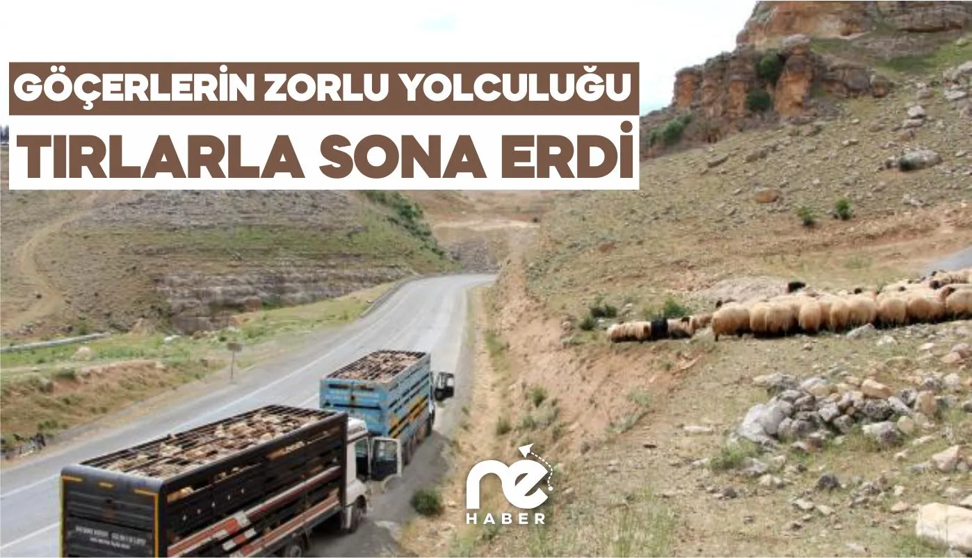 SİİRT'TE GÖÇERLERİN YAYLALARA ZORLU YOLCULUĞU SON BULDU