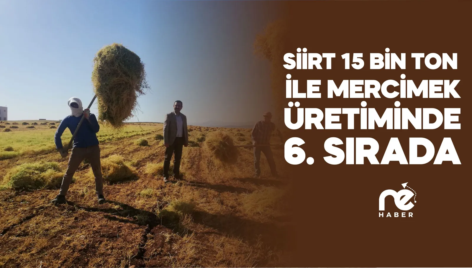 SİİRT 15 BİN TON İLE MERCİMEK ÜRETİMİNDE 6. SIRADA