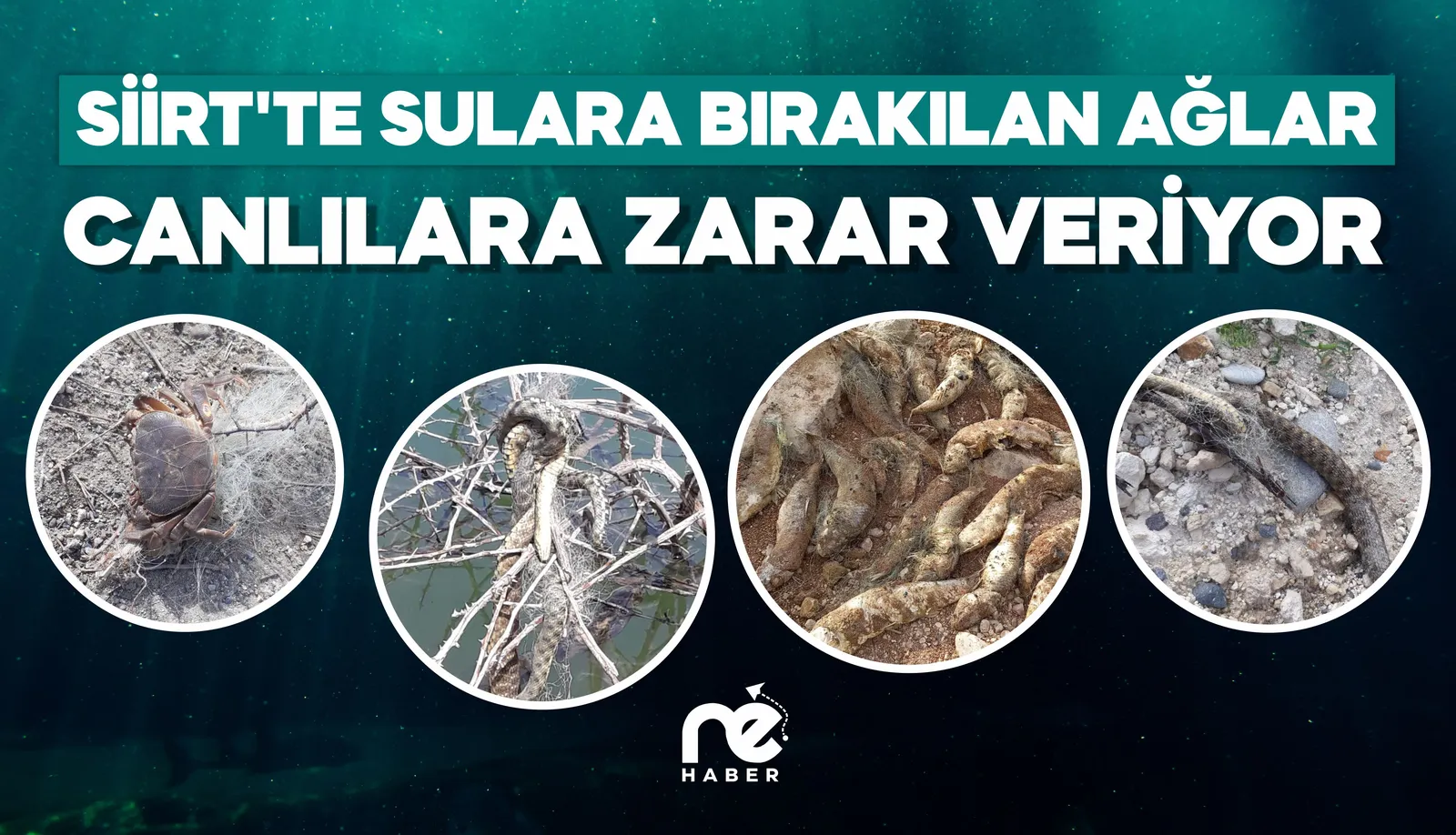 SİİRT’TE SULARA BIRAKILAN AĞLAR CANLILARA ZARAR VERİYOR