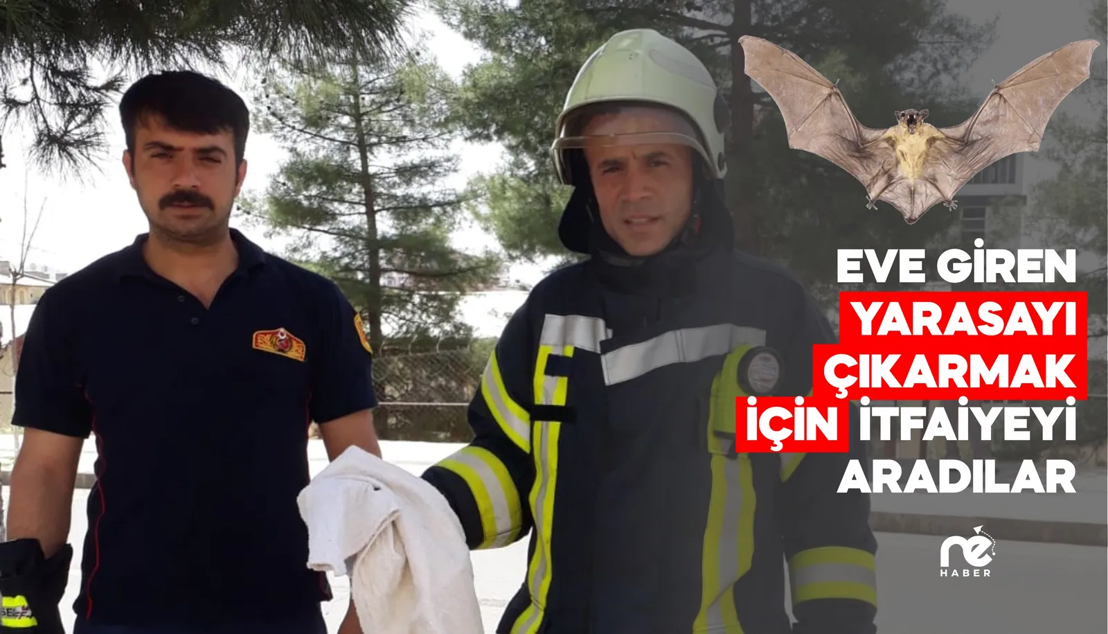 EVE GİREN YARASAYI ÇIKARMAK İÇİN İTFAİYEYİ ARADILAR