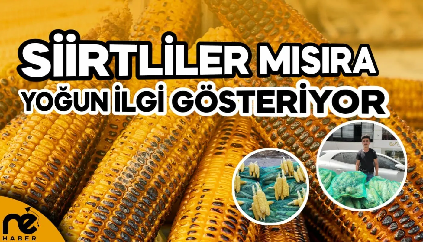 SİİRTLİLER MISIRA YOĞUN İLGİ GÖSTERİYOR