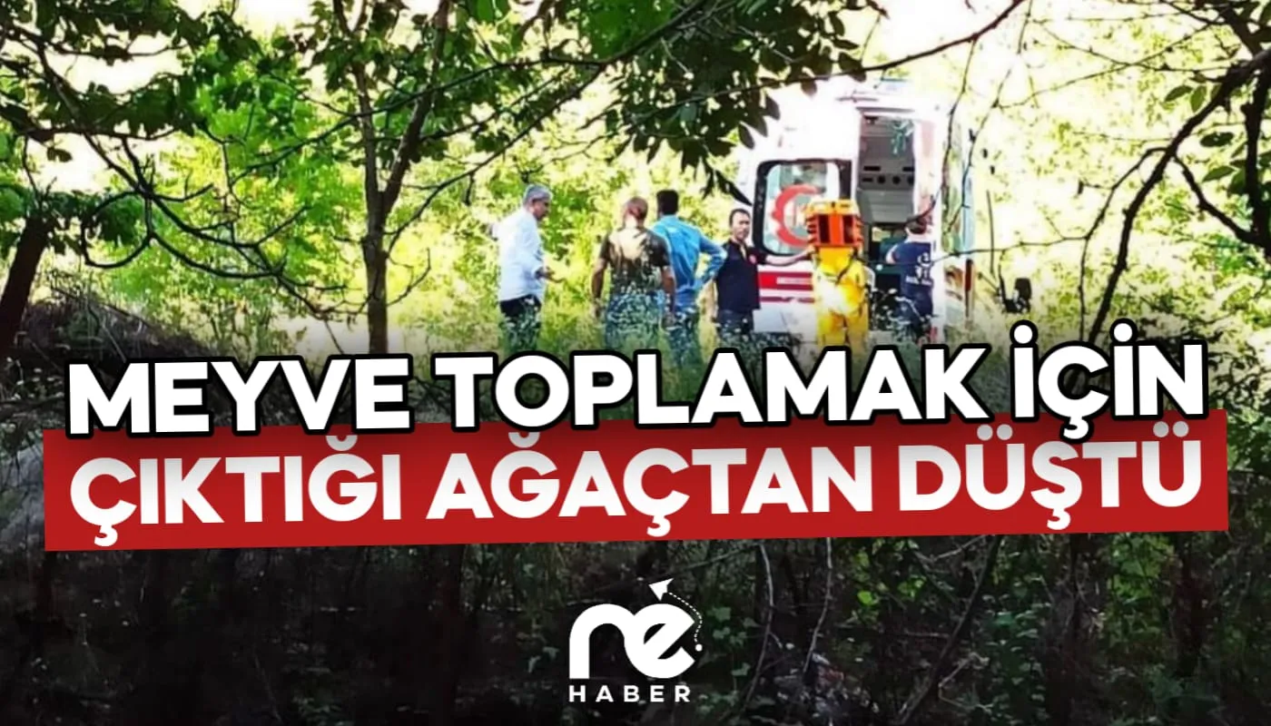 MEYVE TOPLAMAK İÇİN ÇIKTIĞI AĞAÇTAN DÜŞTÜ