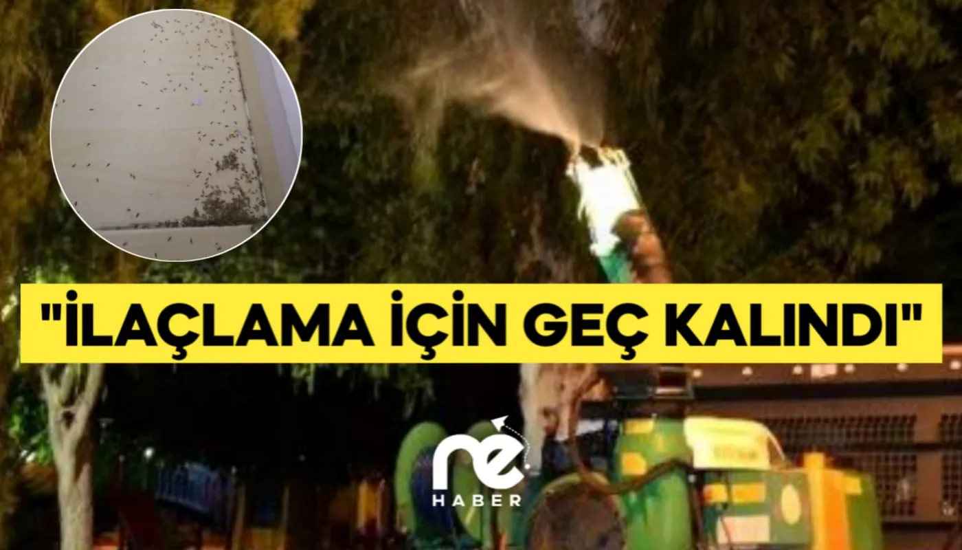"İLAÇLAMA İÇİN GEÇ KALINDI"