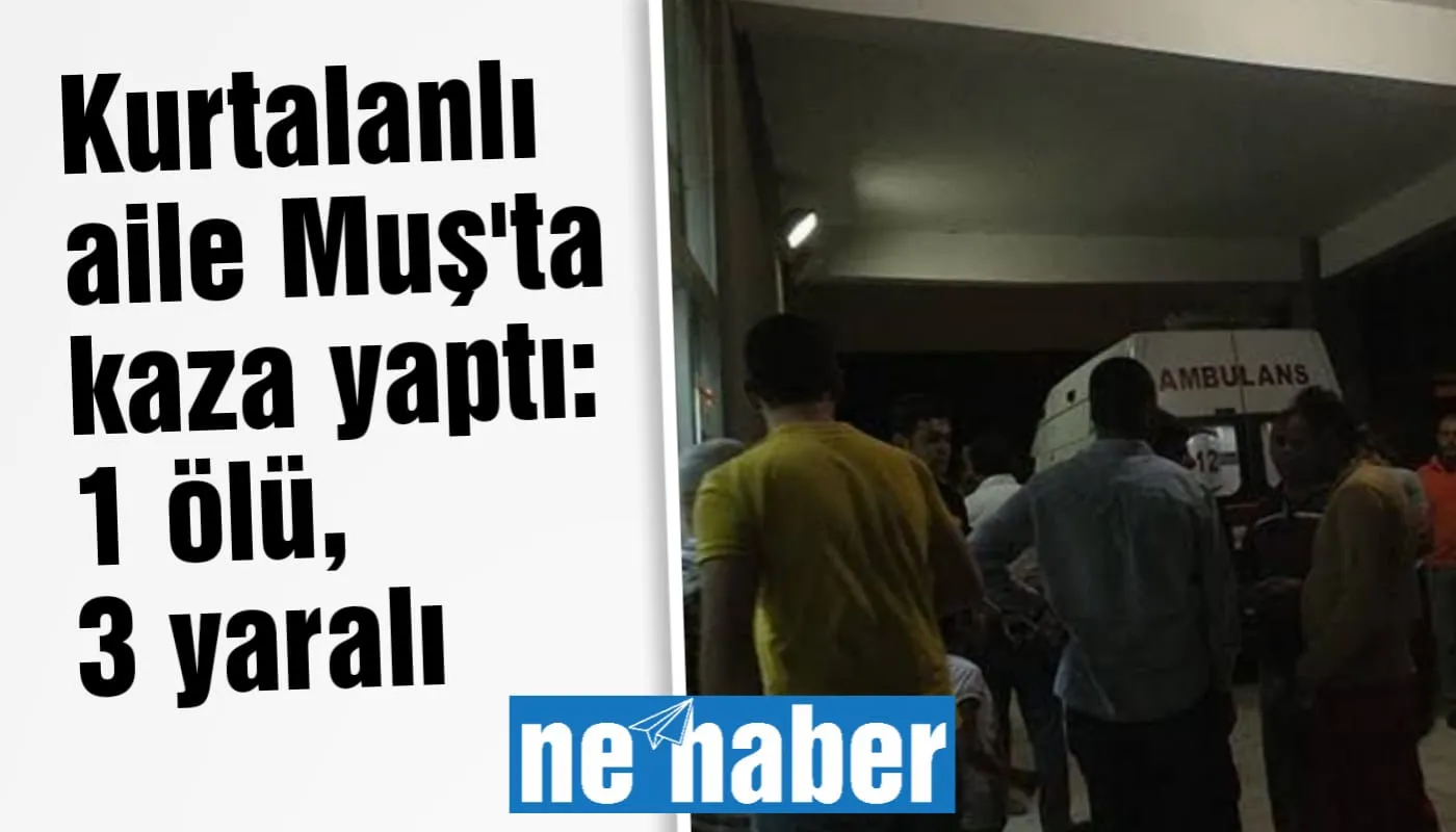 Kurtalanlı aile Muş'ta kaza yaptı: 1 ölü, 3 yaralı