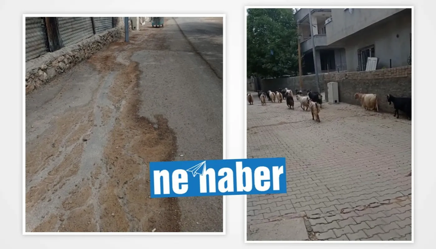 Köy yeri değil şehir merkezi