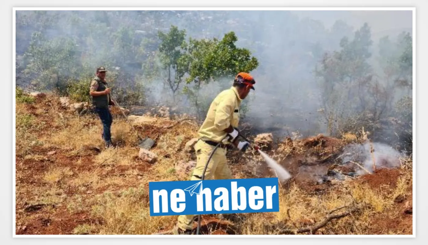 SİİRT’TE ÇIKAN YANGIN KONTROL ALTINA ALINDI