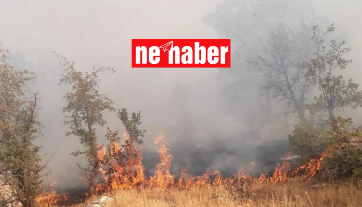 Akyayla köyünde ekiplerin yangına müdahalede yetersiz kaldığı ve soğutma çalışmalarının yapılmadığı iddia edildi