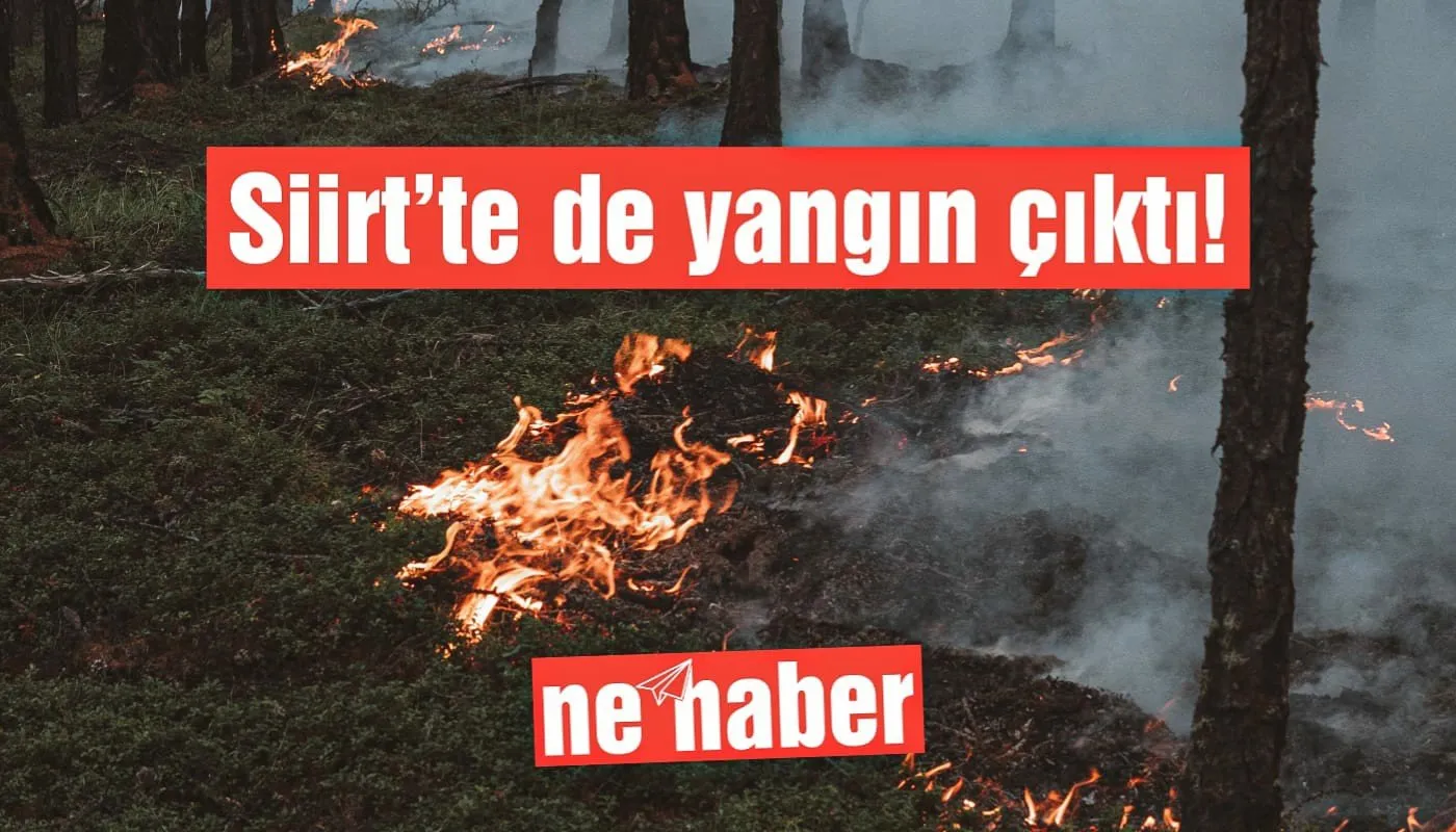 Siirt’te de yangın çıktı!