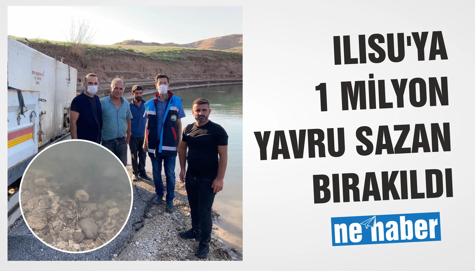 Ilısu'ya 1 Milyon yavru sazan bırakıldı