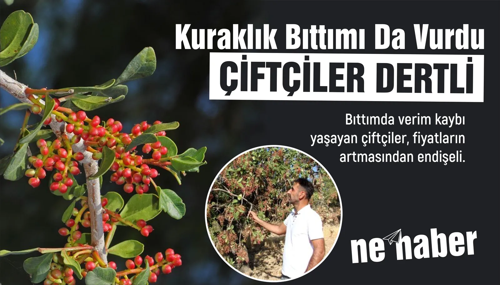 Kuraklık Bıttımı Da Vurdu, Çiftçiler Dertli