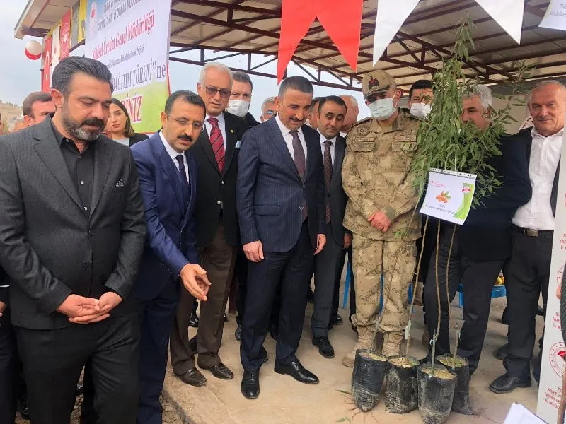 Siirt’te Goji Beryy Meyvesi Üretilecek