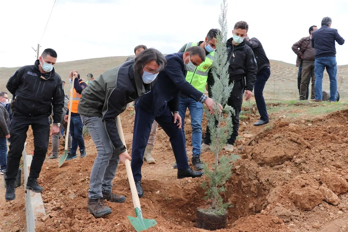 SİİRT’TE 16 BİN 500 FİDAN TOPRAKLA BULUŞTURULUYOR