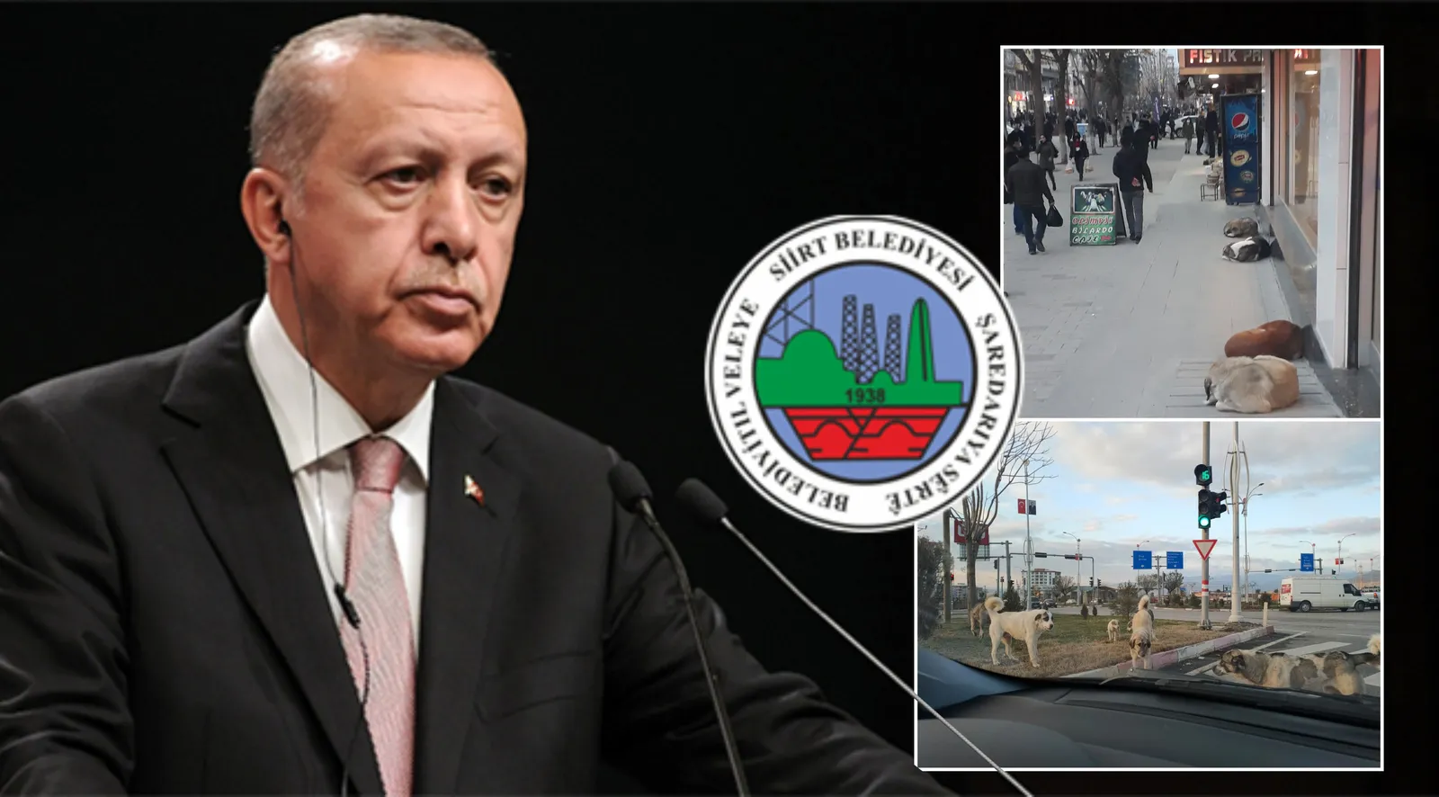 Bizi Dinlemediniz Bari Cumhurbaşkanı’nı Dinleyin!