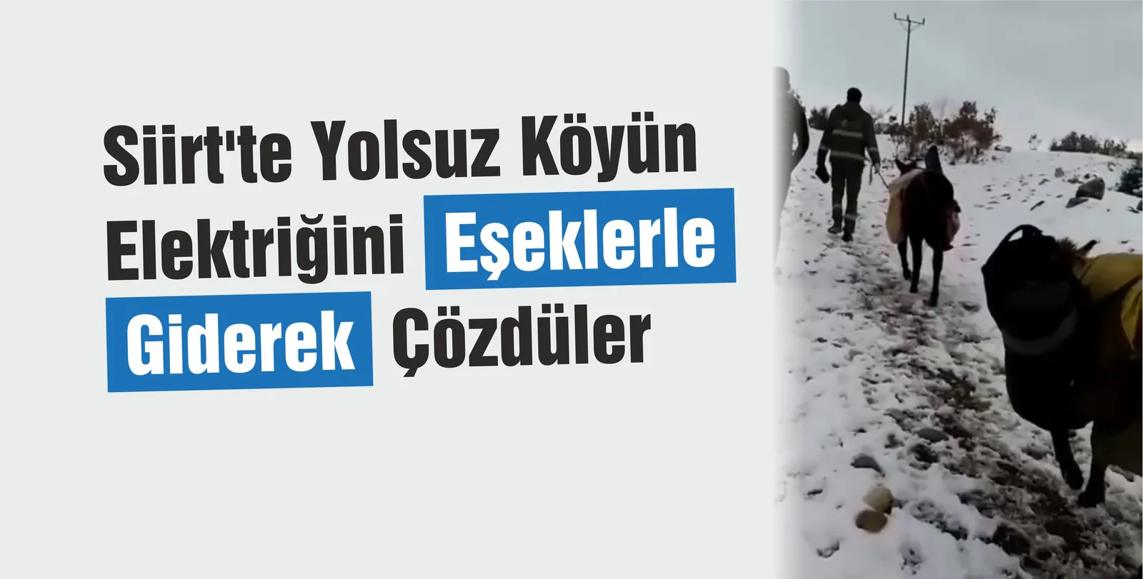 Siirt’te Eşeklerle Elektrik Arızasına Gittiler