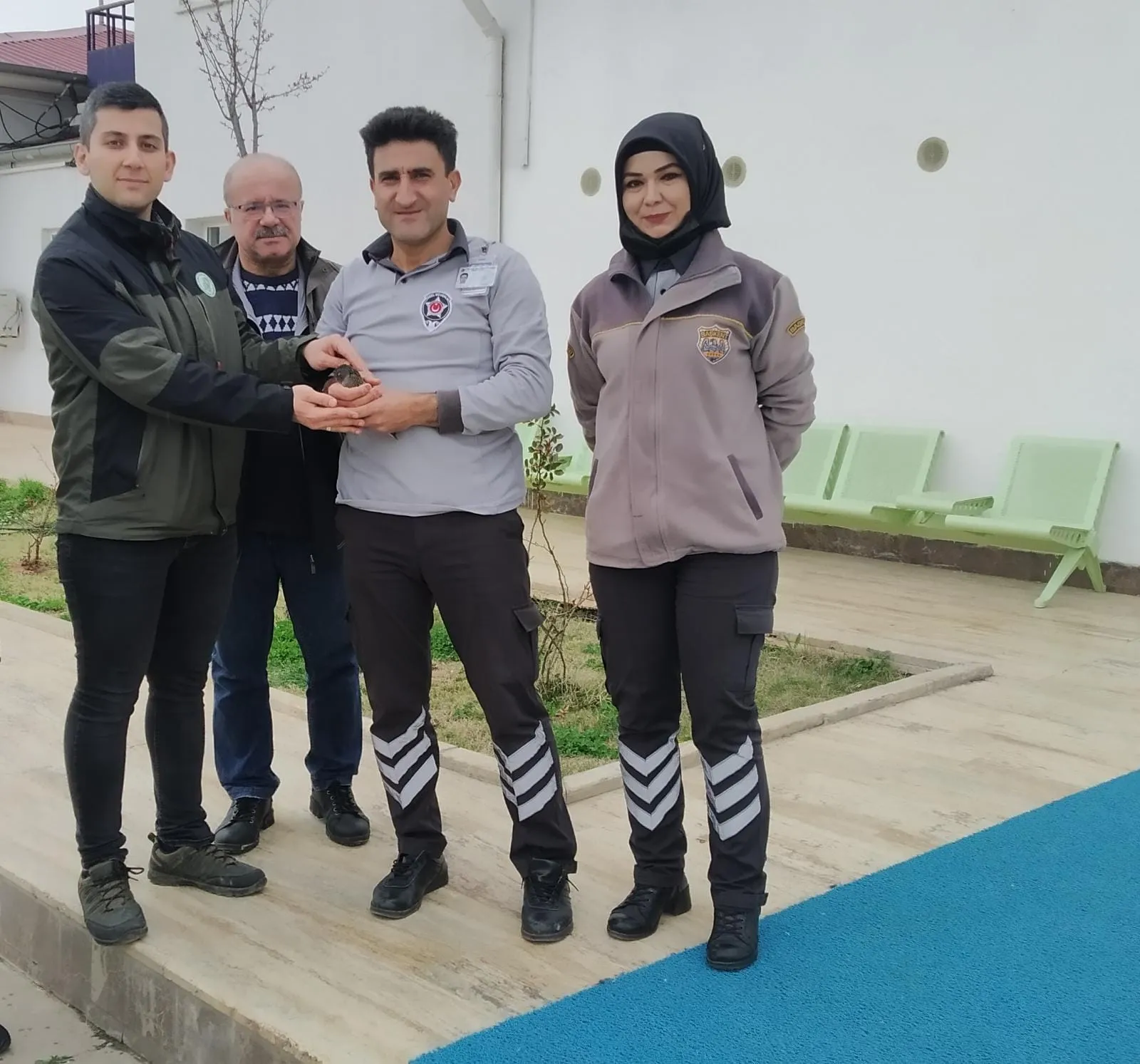 Siirt'te Yaralı Bulunan Kuş Tedavi için Doğa Koruma'ye Teslim Edildi