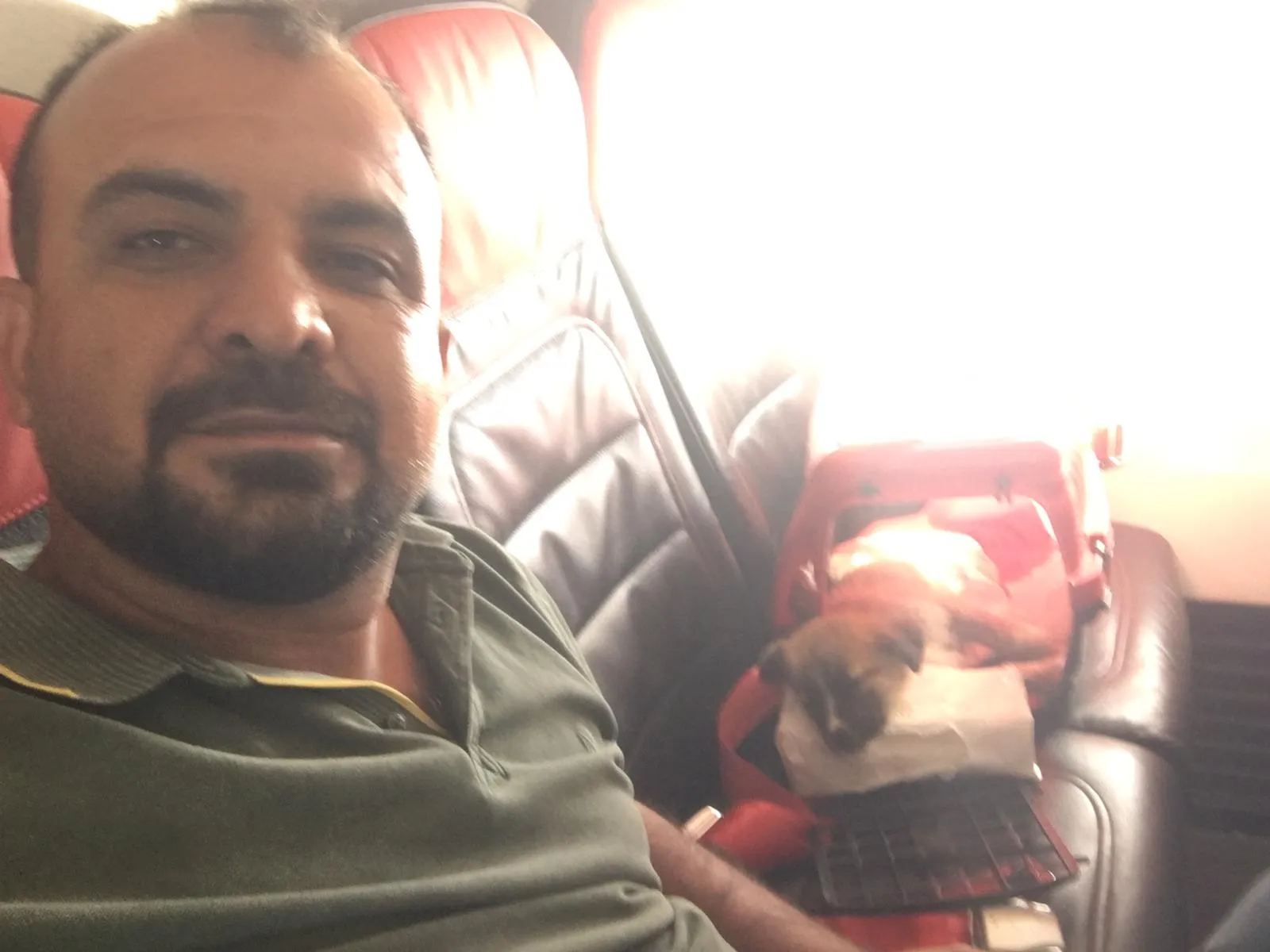 Çöpte Bulduğu Yaralı Köpeği Uçakla Tedaviye Götürdü