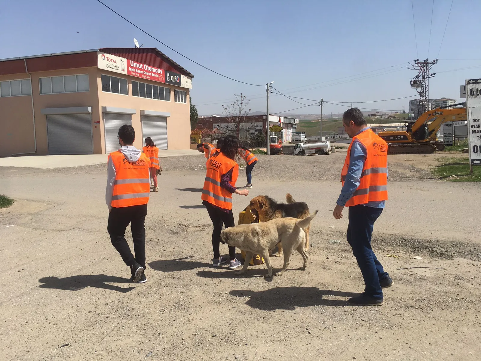 “Halkımız Sokak Canlılarını Unutmasın”