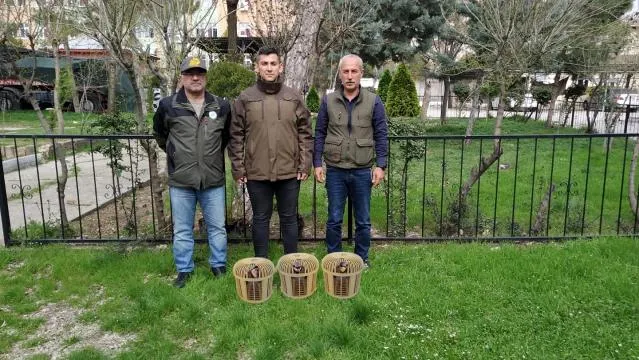 Siirt'te kaçak avcılara para cezası