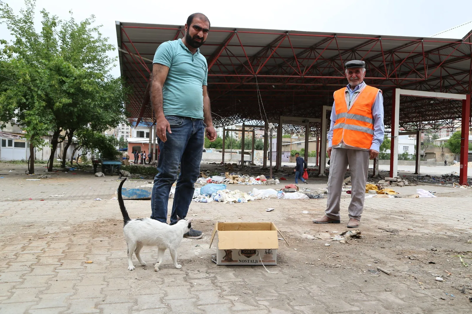 Siirt Semt Pazarının Kedileri Sahipsiz Kaldı