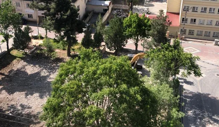 Siirt’te Ağaç Kesen Müteahhitlere Örnek Olsun!
