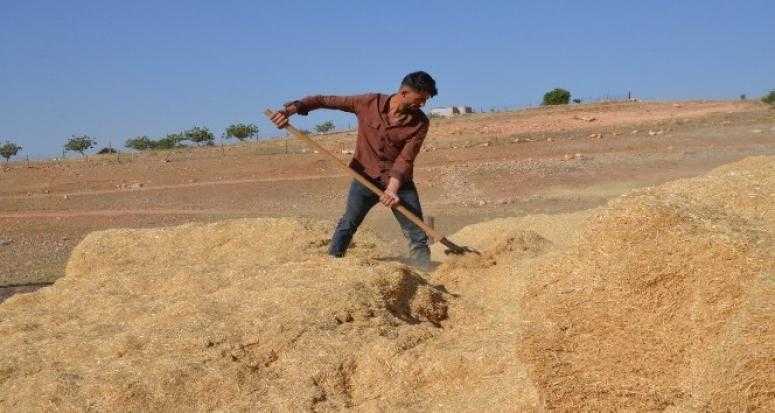 Çiftçilerin Kış Hazırlığı Şimdiden Başladı