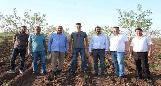 Okumak İçin Geldiği Siirt'te Üretici Olmayı Hedefliyor
