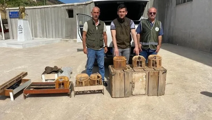 Siirt’te Kaçak Avcıya Tutanak Tutuldu