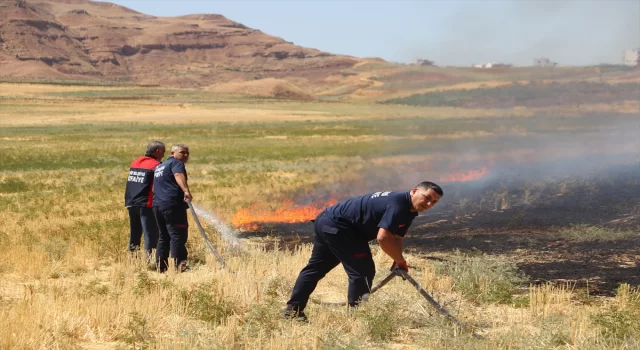 Siirt'te Çıkan Anız Yangını Söndürüldü