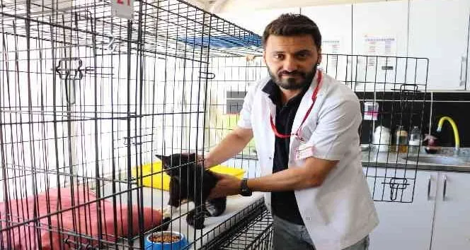 Dünya'da Yeni Kırık Tedavi Yöntemi İlk Kez Siirt'te Gerçekleşti