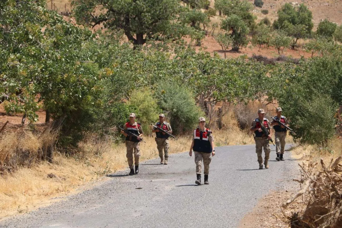 Siirt'te Jandarma Fıstık Hırsızlarına Karşı Devriye Geziyor