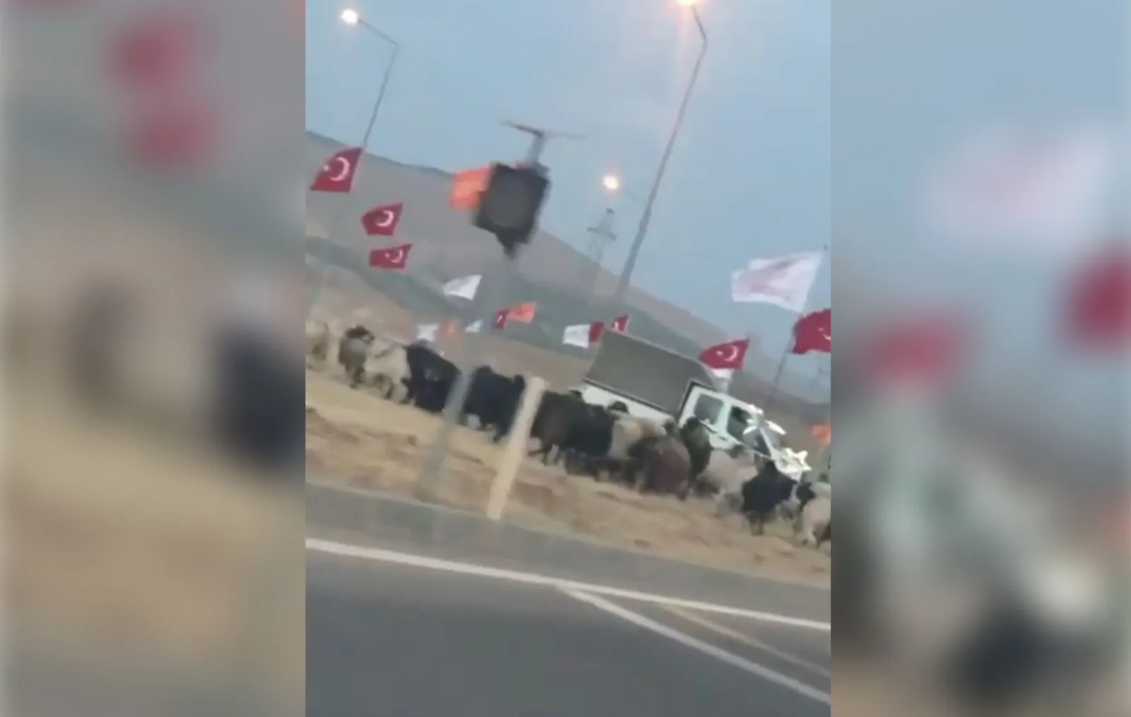 Aman Bakan Görmesin!