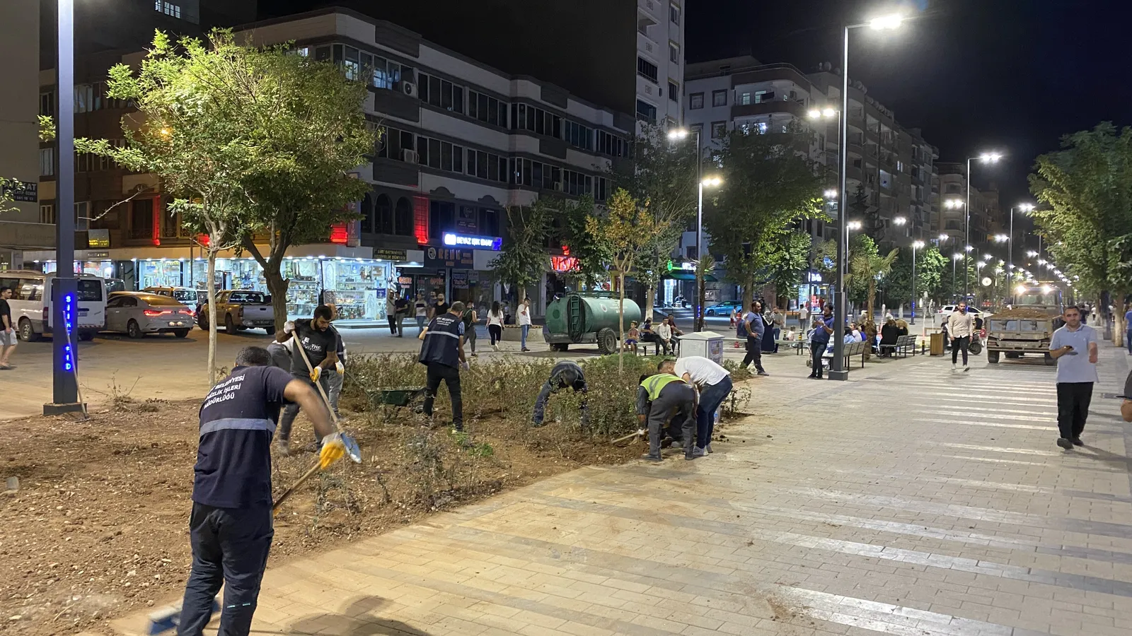Güres Caddesinde Kuruyan Ağaçlar Yenilendi