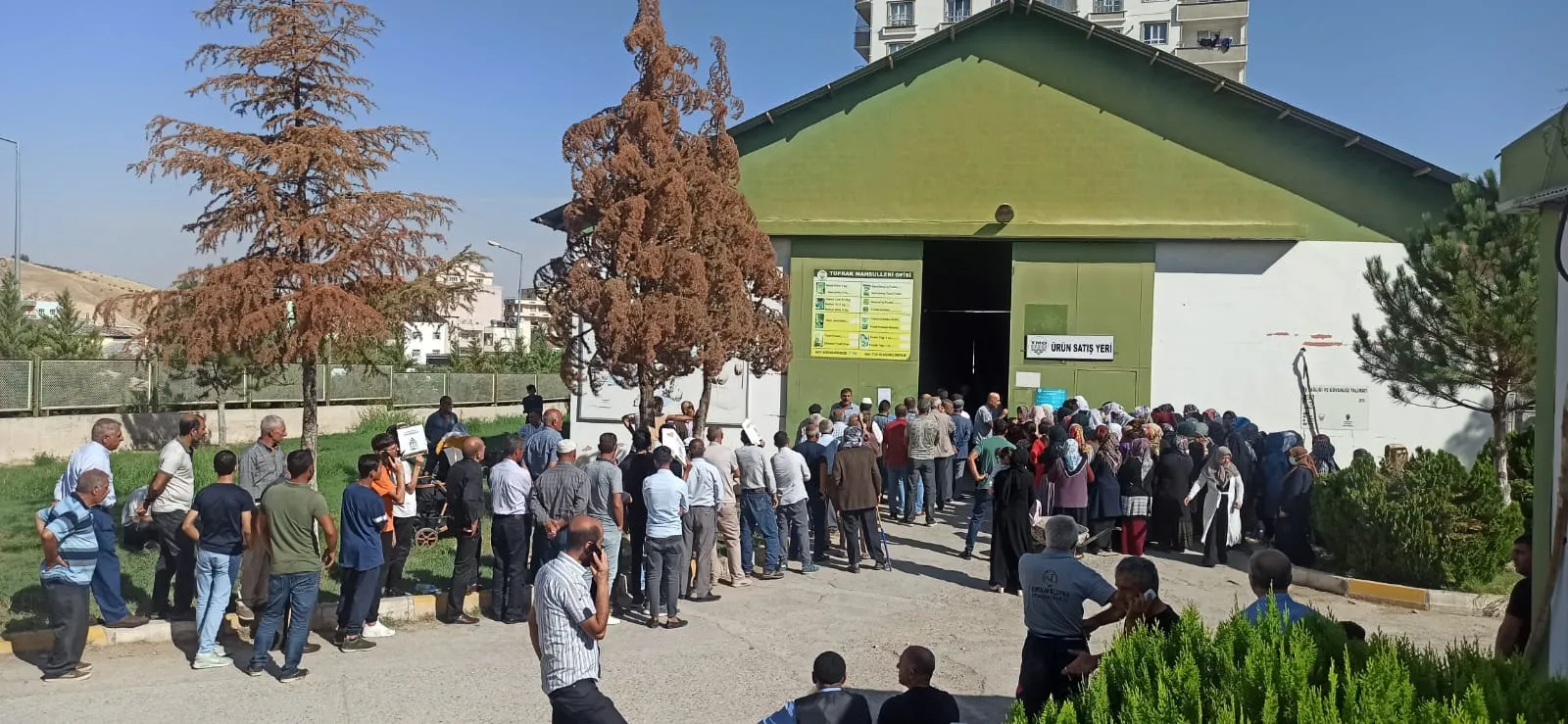 Siirt'te Ucuz Yağ Kuyruğu