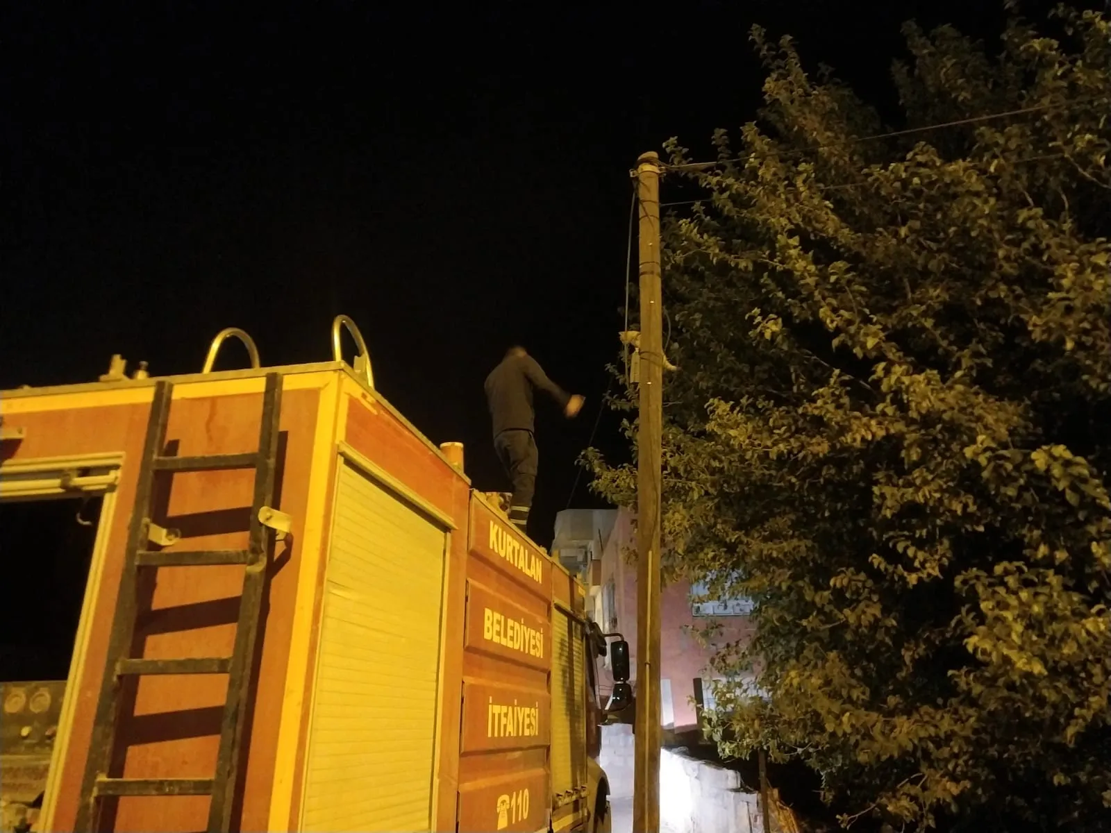 Kurtalan’da Çıktığı Direkten İnemeyen Kediyi İtfaiye Kurtardı
