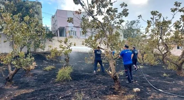 Siirt'te Mezarlıkta Çıkan Yangın Büyümeden Söndürüldü